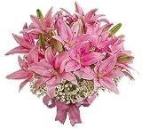 Classic Pink Asiatic Lily Toss Bouquet