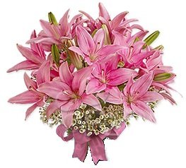 Classic Pink Asiatic Lily Toss Bouquet #TOP18