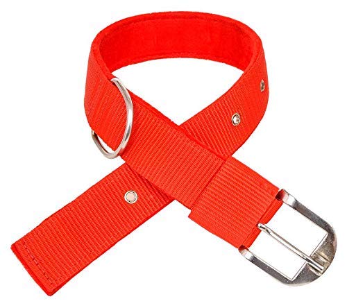 RvPaws Nylon Strong and Durable Adjustable Dog Collar Dog Belt for Medium and Large Breed Dogs,(Size-1.25 Inches - Red Color) (B09J29WTQM) Amazon Price History, Amazon Price Tracker