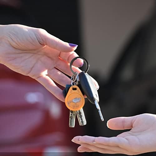 nuosen 40 Pieces Metal Split Rings Flat Key Rings Round Keychain Rings for Home Car Keys Attachment, 2 Sizes, Black