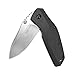Kershaw KS3850 Cuchillo Tascabili,Unisex - Adulto, Negro, un tamaño