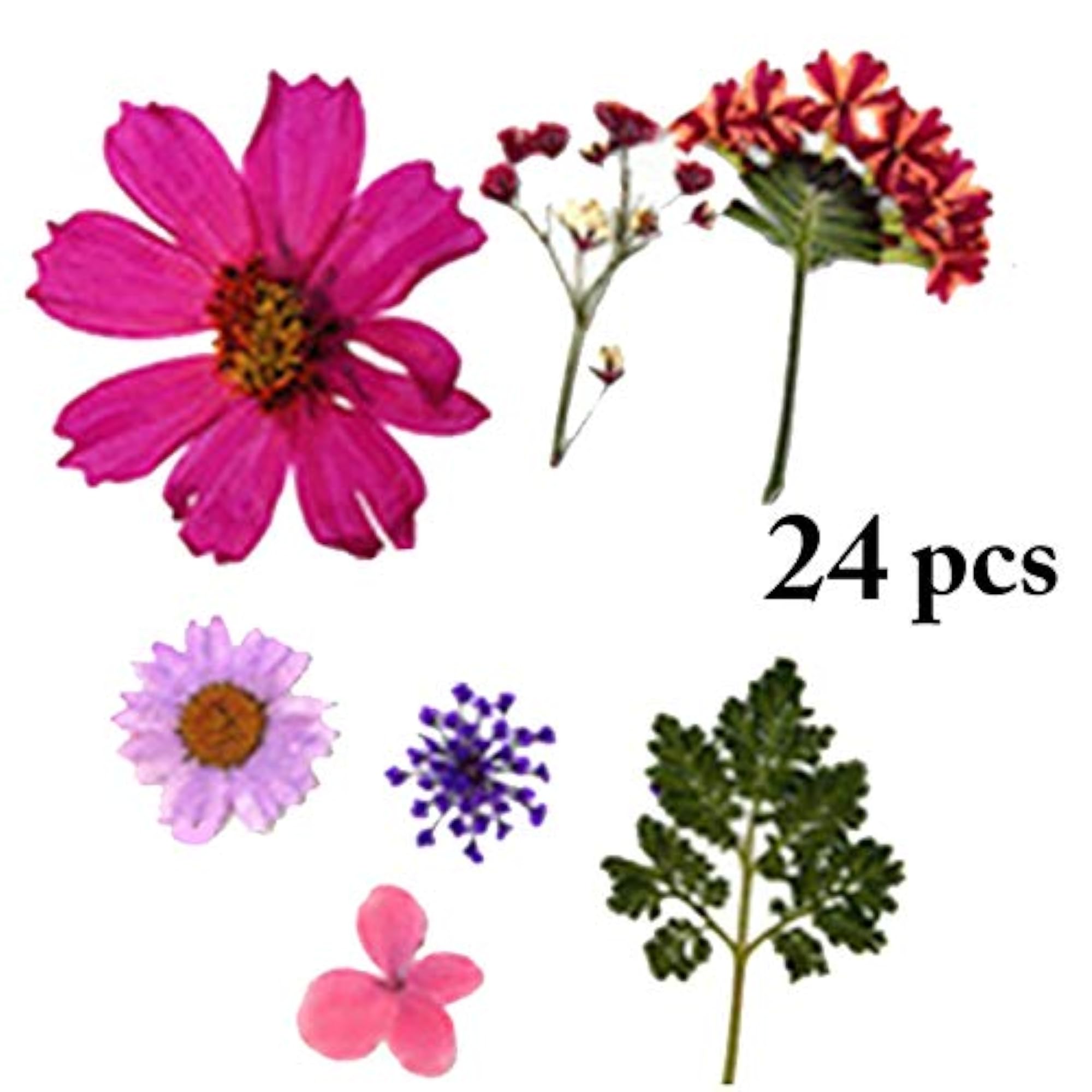DIY Dried Flowers for Creative Crafts and Bookmarks