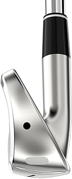 Amazon.co.jp: スリクソン ZX4 5-PW+AW アイアン 日本NS Pro 950GH