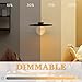 Harwez Globe Decorative Light Bulbs Warm, Oversized Vintage Edison Dimmable LED Bulb, 3.5W Low Lumen Eye-Caring Soft Dim Lighting for Mood(Not Daylight White), E26 Medium Base, Amber RN G125