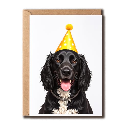 NoNi93Art XvJ[ XpjG p[eB[nbgJ[ht - XvJ[ XpjG o[Xf[J[h - ̂ꂳ - D - nbs[o[Xf[ - Flւ̃Mtg