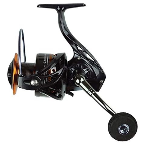 Welsrolle York Bastion Angelrolle Spinrolle Wallerrolle Großfischrolle Wels Cover