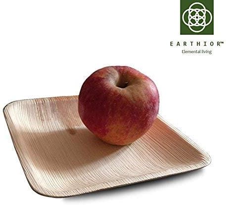Set of 10 Square 6'' Eco Dessert Plates Multi-use & Disposable Party Plates