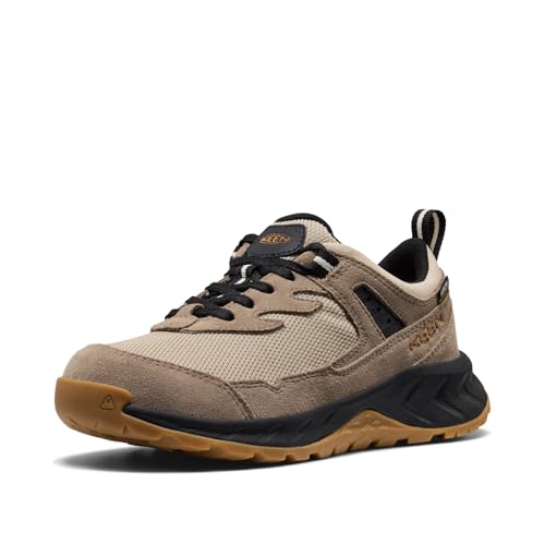 �n�C�g���C�� WP