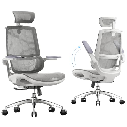 Image of SIHOO M59AS Ergonomic Office Chair, Desk Chair with 3D Flip-up Armrests, Computer Chair with Dual Back Design and Adaptive Dynamic Lumbar Support Grey