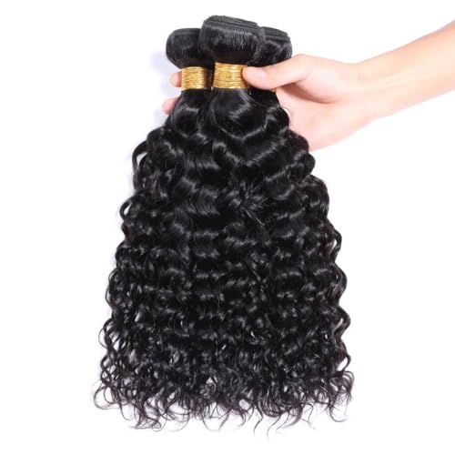 Selina 3 Bundles Human Hair 10 12 14 Inch Kinky Curly Unprocessed Remy Hair Extensions Brazilian Virgin Human Hair 100 Gram/Bundle Natural Color (10"12''14'', Curly)