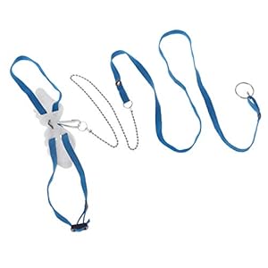 Reptiel Leiband Schildpad Hagedis Bearded Dragon Verstelbare Outdoor Training Soft Leash Touw