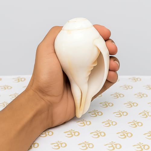 Image of Original Vishnu Shankh | Natural White Shankh /Sankha /Shankhu /Panchajanya Conch Shell for Pooja | Right-Handed Blowing Conch | Spiritual Decor | Vastu | Lakshmi & Vishnu Blessings (4-6 Inch)