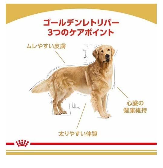 Amazon.co.jp: ロイヤルカナン ゴールデンレトリバー 成犬・高