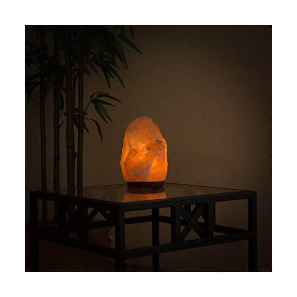 Biova Salz Kristall Stein Lampe Salzlampe Leuchte ca. 9 -12 kg in 1A Qualität – Bild 6