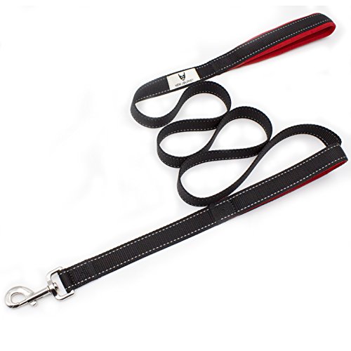 New Journey Dog Leash Extra Long 6ft Double Handle Greater and Control Safety Training-Perfect for Large Dog or Medium Dog Reflective Tape (Black)