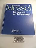 Messel. Ein Pompeji der Paläontologie - Wighart v. u. a. (Hrsg.) Koenigswald 