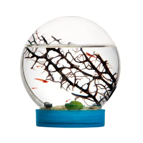 AntHouse - Gambario, Ecosistema Acuático Cerrado con Gambas Incluidas, Biosfera Marina