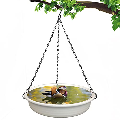 10 Best Black Bird Baths to Brighten Your Backyard A Buying Guide