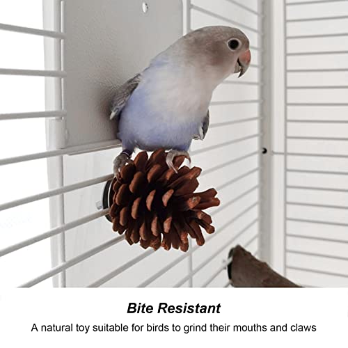 Pine Cone Bird Toy For Let, Bird Toys 10pcs Bird Bite Pine Co Pine Cone Chewing Bird Speelgoed voor Parakeet Cocl Conure Fi Budgie Aw - Afbeelding 5