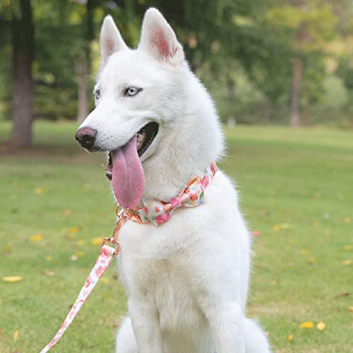 Tunkoo Dog Collar Elegant Floral Bow Tie Unique Style Super Soft Comfy Adjustable Cotton Collar With Premium Metal Buckle, For Puppy Small Medium Large Pet Supplies（Gouache，M） #TOP3