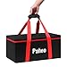 Pafieo Photo Studio Equipment Carrying Case Compatible with Aputure Amaran 100D 100X 200D 200X