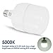 LOHAS Super Bright Light Bulbs, 250-300W Equivalent 3400LM E26 Garage LED Bulb, 5000K Daylight 30 Watt High Lumen LED Bulb w/E39 Adapter for Commercial Warehouse Workshop Factory Backyard Barn, 2 Pack