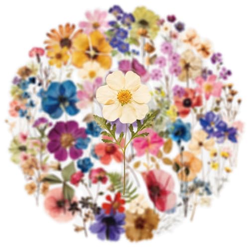 Image of 50PCS Transparent Flora Scrapbook Stickers, Vintage Aesthetic Flowers Sticker for Scrapbooks Travel Journal, Vinyl Waterproof for Water Bottles Laptop Phone Scrapbook Supplies DIY Crafts (Flower-B)