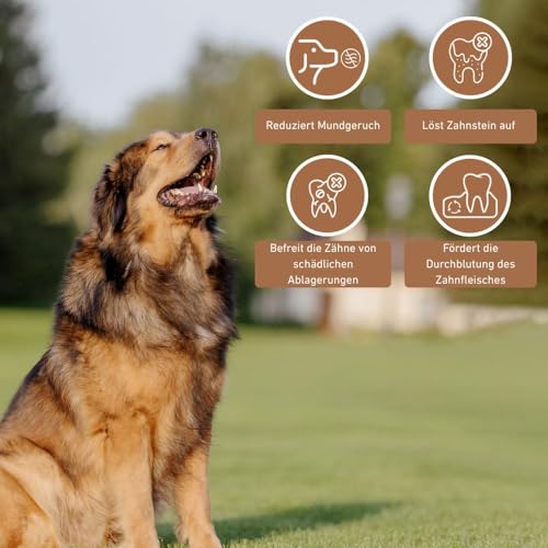 Wildfang® Olivenholz für Hunde, Größe L – robuste Kau-Sticks für Starke Kauer, Welpen-Kauspielzeuge zur Zahnung, Training der Kaumuskulatur, Olivenholz-Kaustab für Hunde (über 25kg)