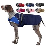 Nanaki Large Dog Coat for Winter