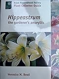 Hippeastrum: The Gardener's Amaryllis (Royal Horticultural Society/Timber Press Plant Collectors Guides Series)
