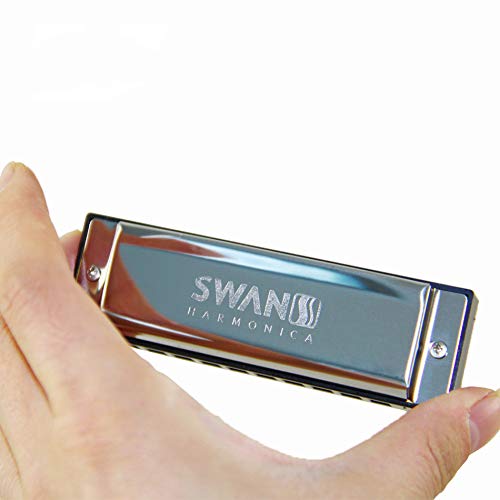 Harmonica Senior Bruce 10 trous Blues avec boîtier laiton acier inoxydable - Les Beatles, Paul McCartney, John Lennon, RIngo Starr, George Harrison Harmonica Senior Bruce 10 trous Blues avec boîtier laiton acier inoxydable – Image 5