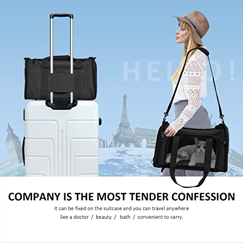 Image of PETANGEL Medium Cat Carriers Small Dog Carrier Pet Carrier for Cats Dogs Puppies up to 6Kg, Small Dog Carrier Soft Sided, Collapsible Travel Puppy Carrier - (Size: M+, Black)