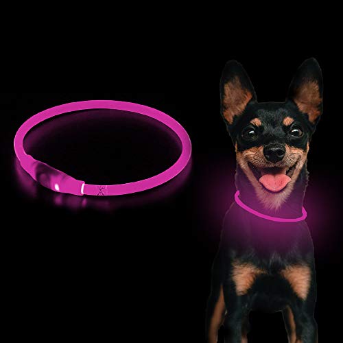 HATIKY Light up Dog Collar,LED Dog Collar - USB Rechargeable - Dog Collar Light for The Dark,Cut to Fit Any Size & Makes Your Dog Visible, Safe & Seen (Candy Pink)