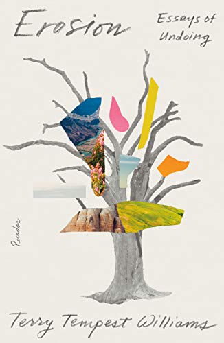 Stop basura: La verdad sobre reciclar Stop basura: La verdad sobre reciclar