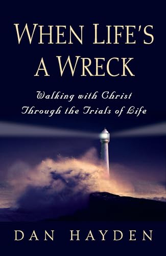 When Life's a Wreck view 2