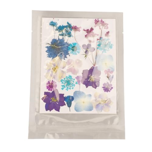 Kit de Flores Prensadas Estilos Variados para Manualidades miniatura 5