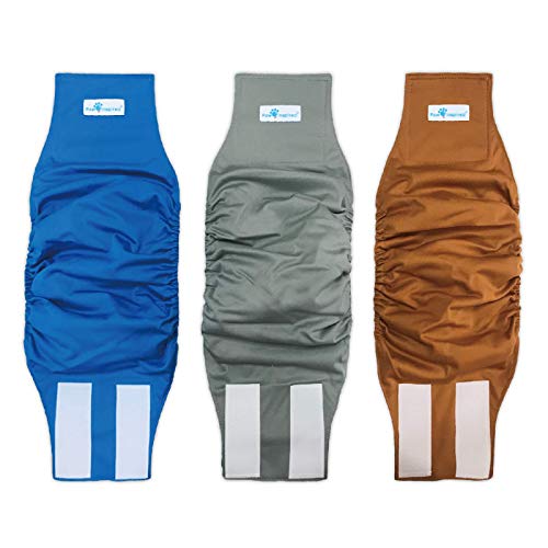 Paw Inspired 3ct Male Dog Wraps Washable, Belly Band for Dogs | Washable Dog Diapers, Reusable Male Dog Diapers for Marking (Medium (3 ct.), Assorted (White Lining))