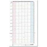 DAYS LINK 1年連結カレンダー ポスター 1枚 (2025年 4月始まり 日曜始まり) 大きい 壁掛け 令和7年 1Y-25-04SUN (パステル, 特大（A1変形）)