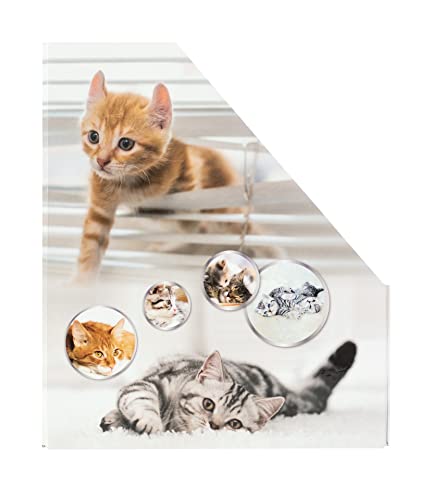 Image of HERMA 19717 Magazine File A4 with Cats Motif, 7.5 cm Wide, Foldable, Sturdy Cardboard, Slim Magazine Holder for Girls and Boys, Standing File for Storing Documents, Documents, Folders