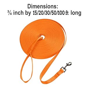Hi-Kiss-DogPuppy-Obedience-Recall-Training-Agility-Lead-15ft-20ft-30ft-50ft-100ft-Leash-Great-for-Play-Camping-or-Backyard-Orange - Cucciolini Doodles   Hi-Kiss-DogPuppy-Obedience-Recall-Training-Agility-Lead-15ft-20ft-30ft-50ft-100ft-Leash-Great-for-Play-Camping-or-Backyard-Orange