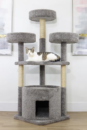 Casa para Gatos Main Coon Cat House