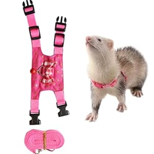 Ferrets Harness Leashes Set Small Animal Vest Cute Bowknot and Safe Bell Decor Chest Strap for Outdoor Walking Rabbit Guinea Pig Bunny Hamster Puppy Kitten (S,Pink)
