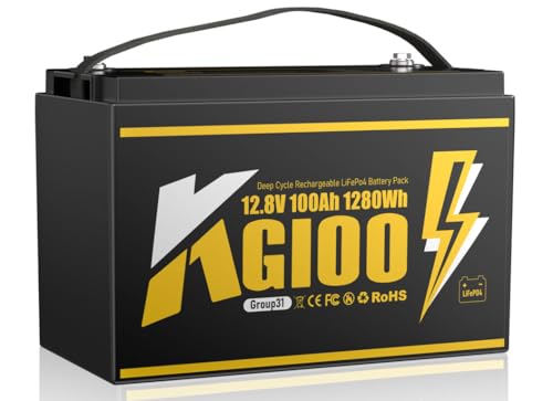 12V 100Ah LiFePO4 Battery,BCI Group 31 Lithium Battery with Built-in 100A BMS,15000 Cycles Lithium...