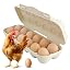 #2|013 12 Eggs Beige
