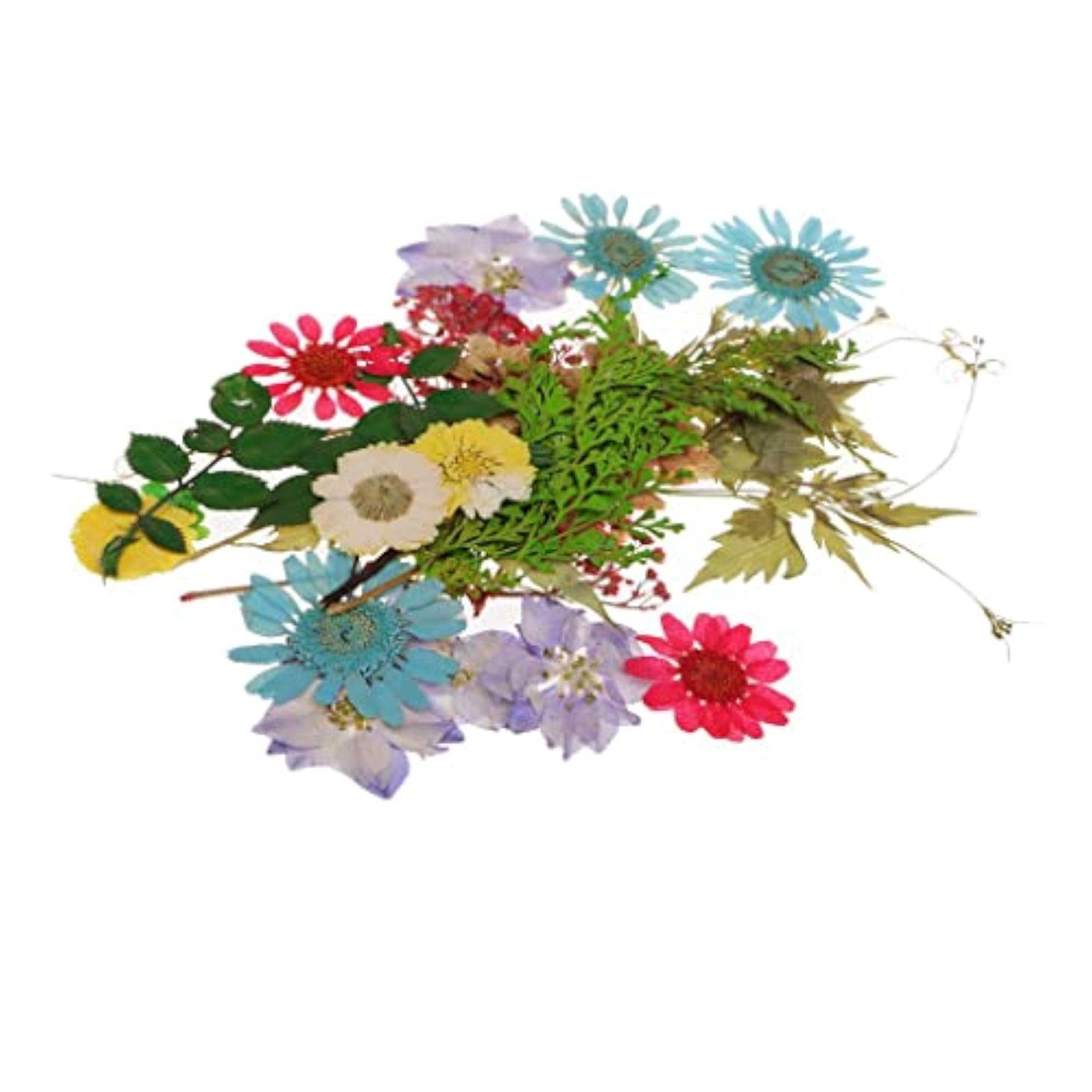 Natural Pressed Dried Flowers Leaves Art Craft