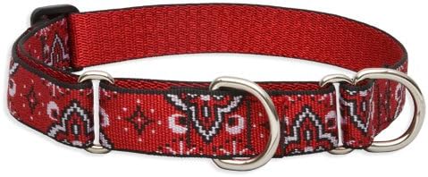 LupinePet 1-Inch Wild West 19-27-Inch Martingale Combo Collar for Large Dogs