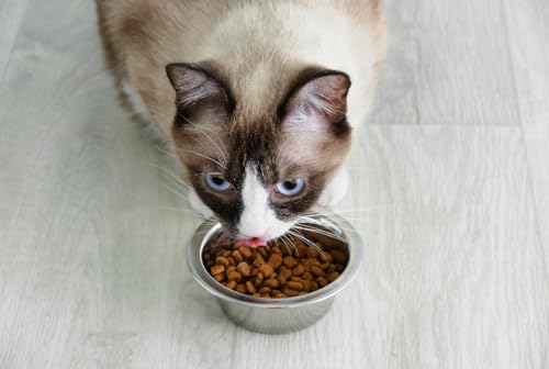 Van Ness SSLW1 Pets Lightweight Stainless Steel Cat Bowl thumb #2