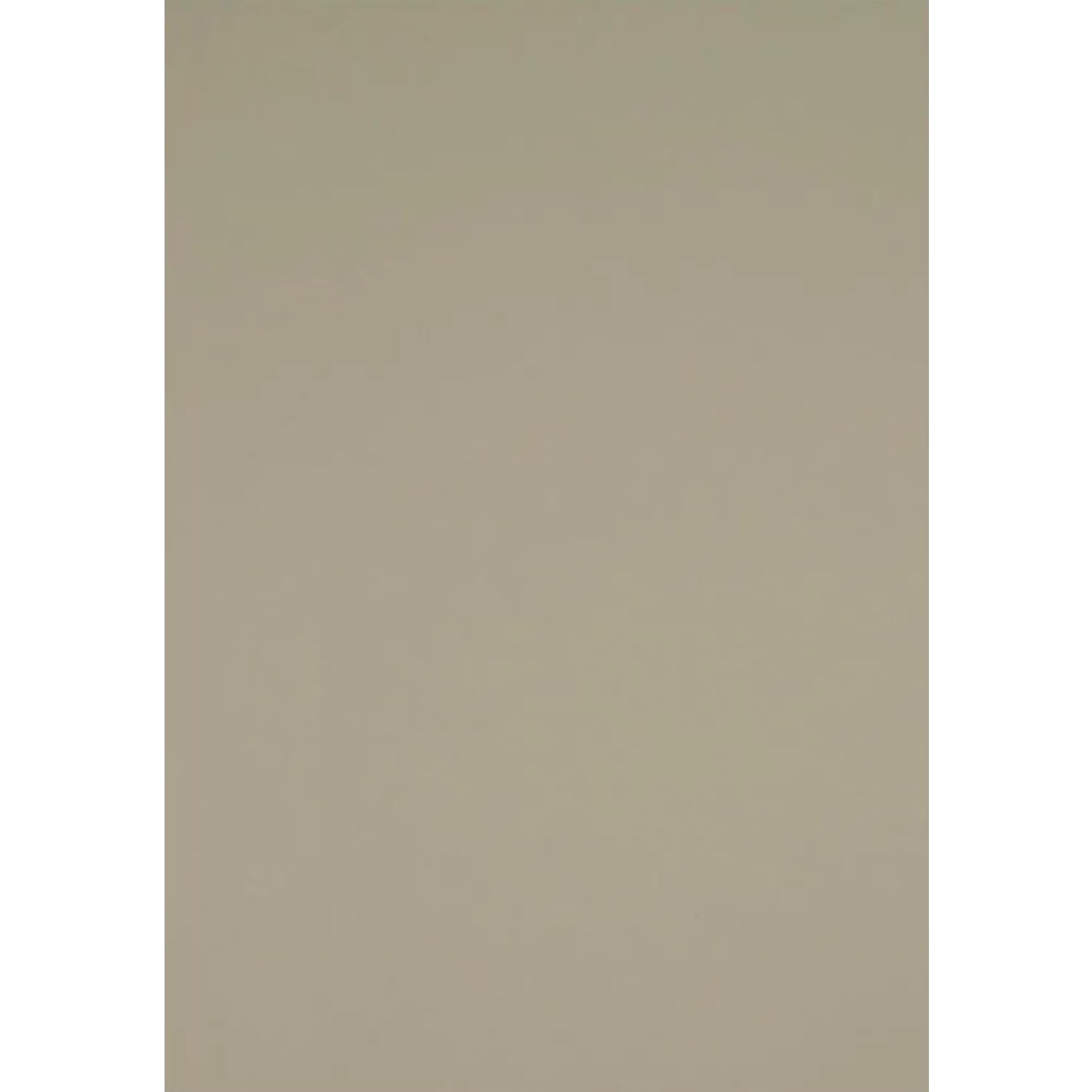 Netuno 400 arkuszy kolorowego kartonu klasy premium, ciemnobeżowe, DIN A4, 21 x 29,7 cm, 225 g, Aster Color Shitake, przyjazny dla środowiska, kolorowy, wysokiej jakości, do zaproszeń, opakowań