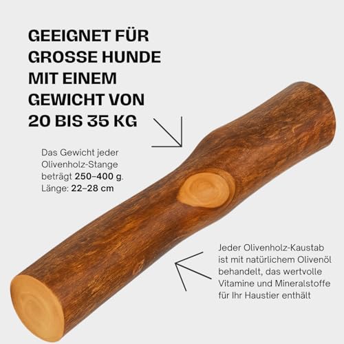 Olivenholz Kauknochen für Hunde – Kauholz & Hundespielzeug - Zahnpflege & langlebige Beschäftigung - Größe L (250–400g), Holzknochen - 2er Pack