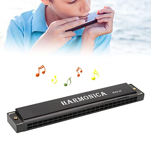 Gaita de 24 furos, fácil de usar, processamento fino de gaita para iniciantes, solo ou acompanhament